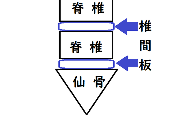 椎間板ヘルニアの改善ならなごみ整骨院に御相談下さい